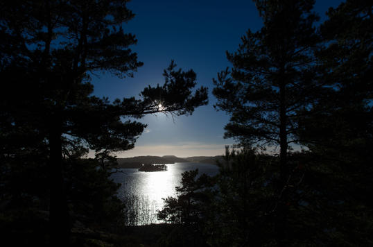 DSC_3948 DSC_3948