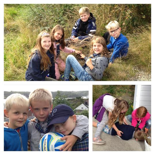 image1 image1