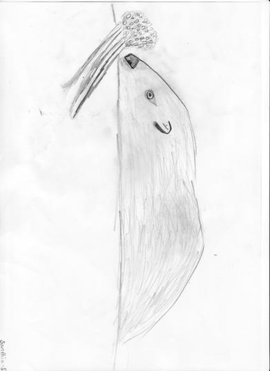 IMG_0002 IMG_0002