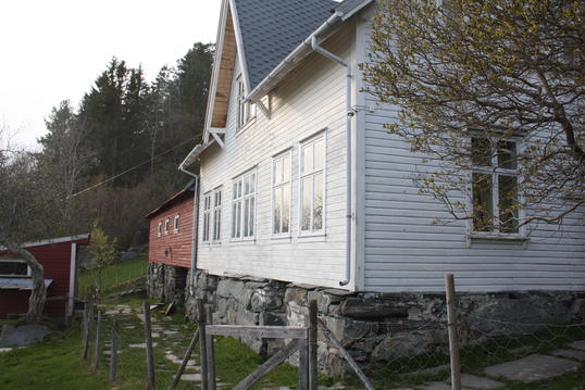 IMG_0774 IMG_0774