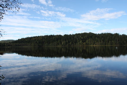 IMG_0979 IMG_0979
