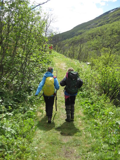 IMG_6520 IMG_6520