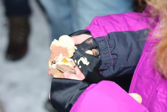 IMG_9185 IMG_9185