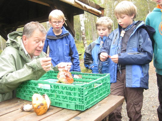 Instruksjon om sopp Instruksjon om sopp