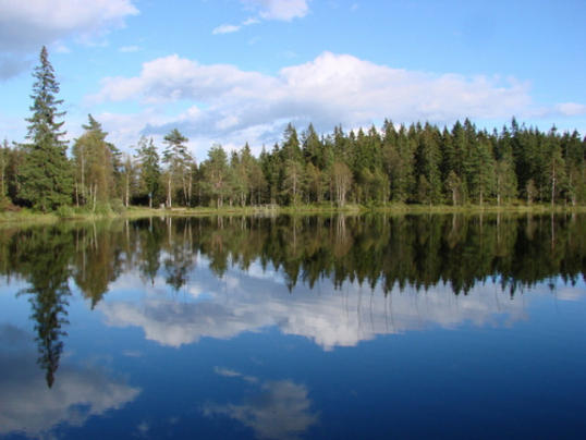 Kjulstjern Kjulstjern